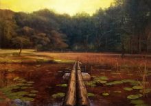 �����ĺ������ߡ�